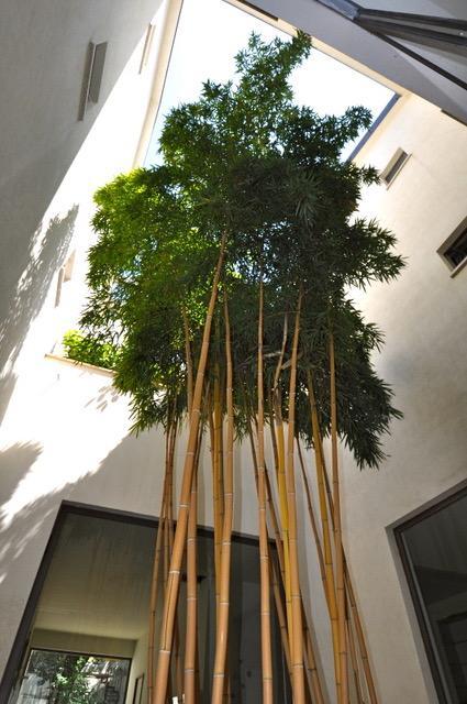 La Dimora Residence Milán Exterior foto